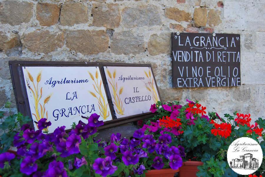 Agriturismo Castello La Grancia Di Spedaletto Pienza Eksteriør billede